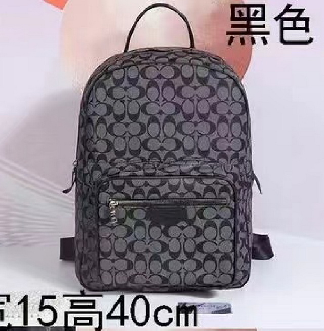 C0ACH Handbags 105